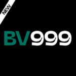 BV999 Game