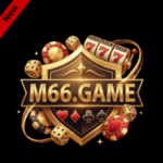 m66 game